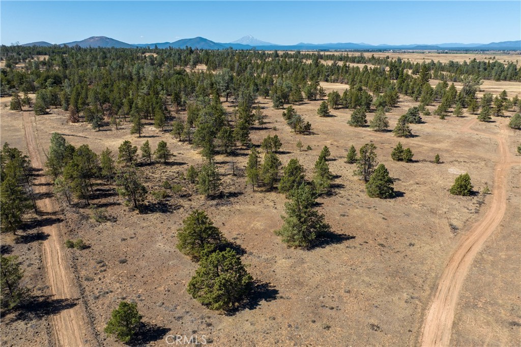 MLS #SN23174769 image #10