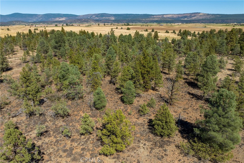 MLS #SN23174769 image #11