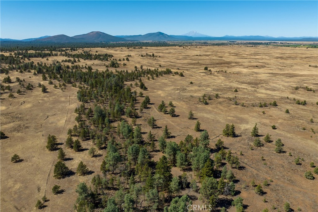 MLS #SN23174769 image #4