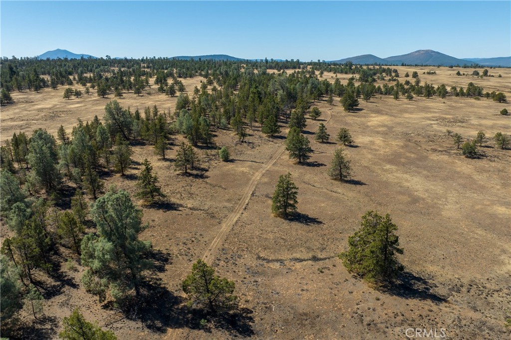 MLS #SN23174769 image #5