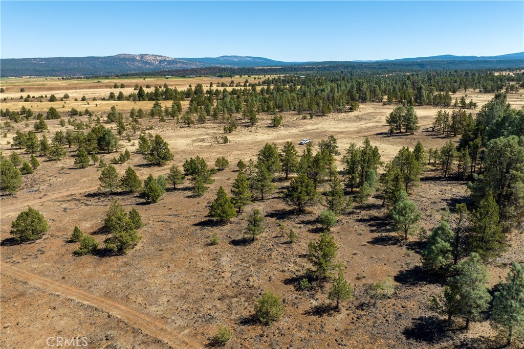 MLS #SN23174769 image #6