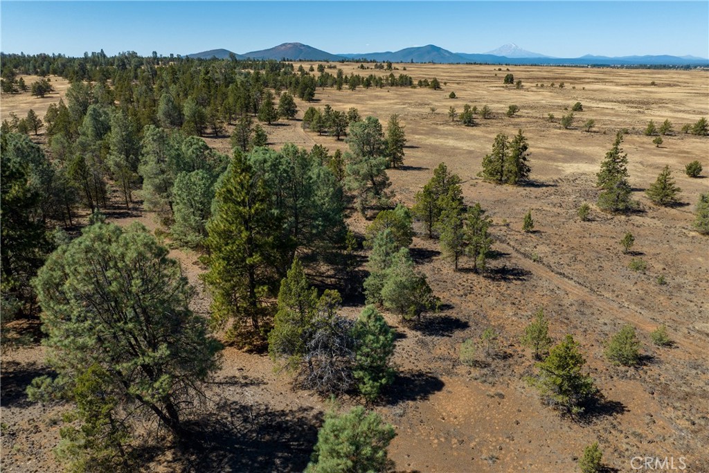 MLS #SN23174769 image #7