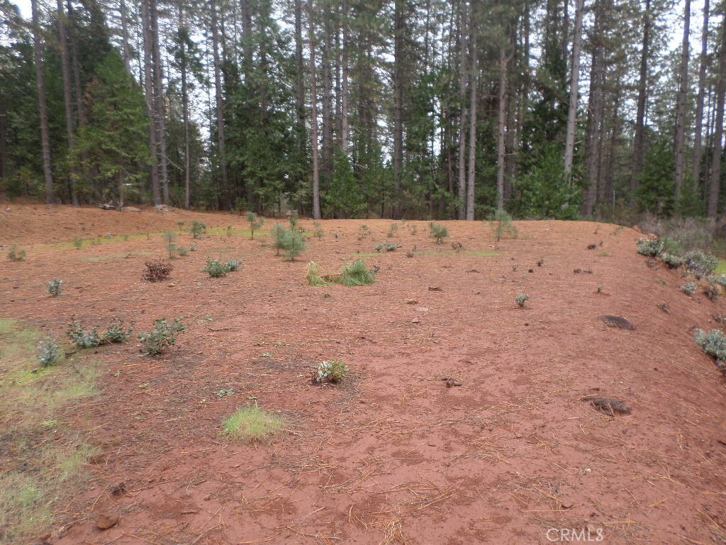 MLS #SN24060930 image #1