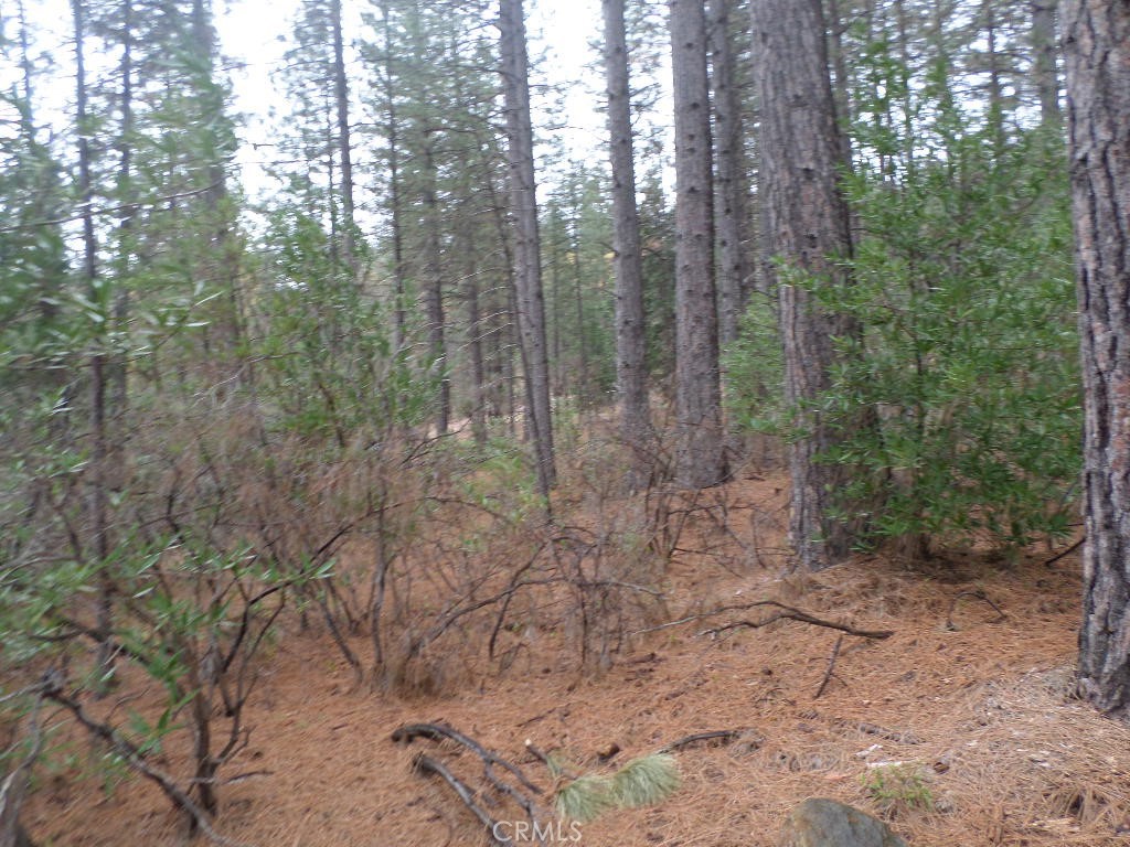 MLS #SN24060930 image #10