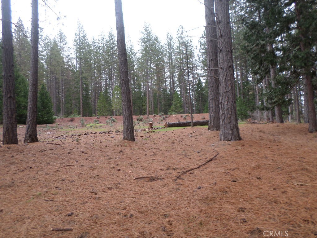 MLS #SN24060930 image #11