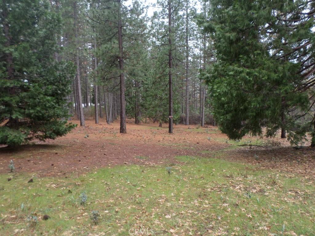 MLS #SN24060930 image #12