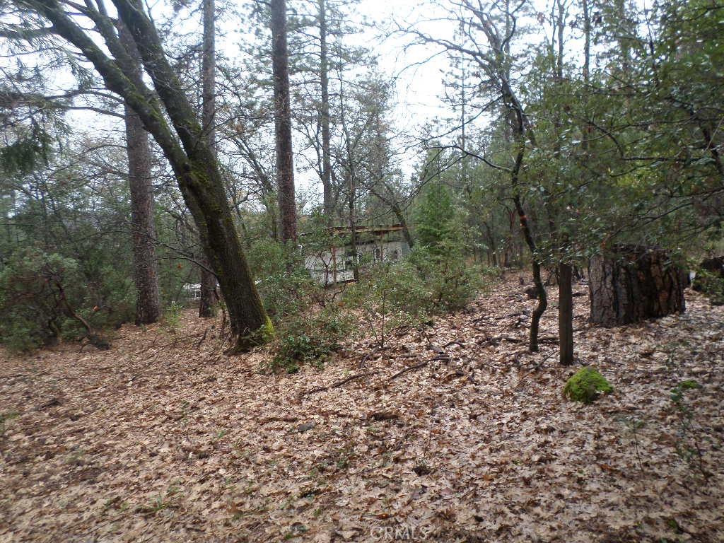 MLS #SN24060930 image #13