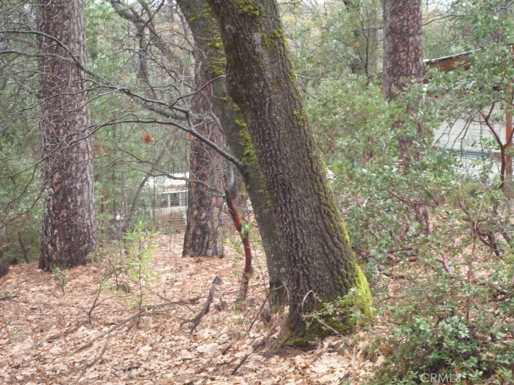 MLS #SN24060930 image #14