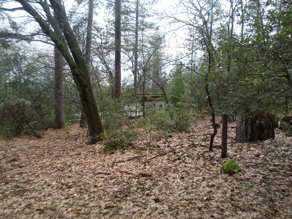 MLS #SN24060930 image #15