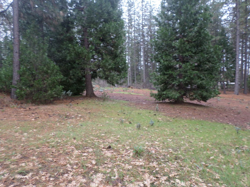 MLS #SN24060930 image #16