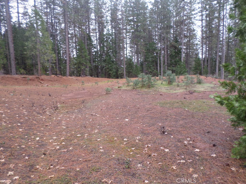 MLS #SN24060930 image #17