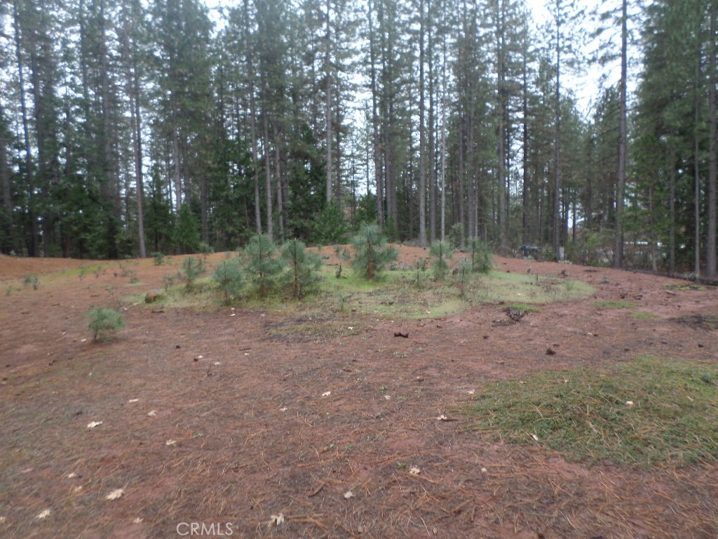 MLS #SN24060930 image #18