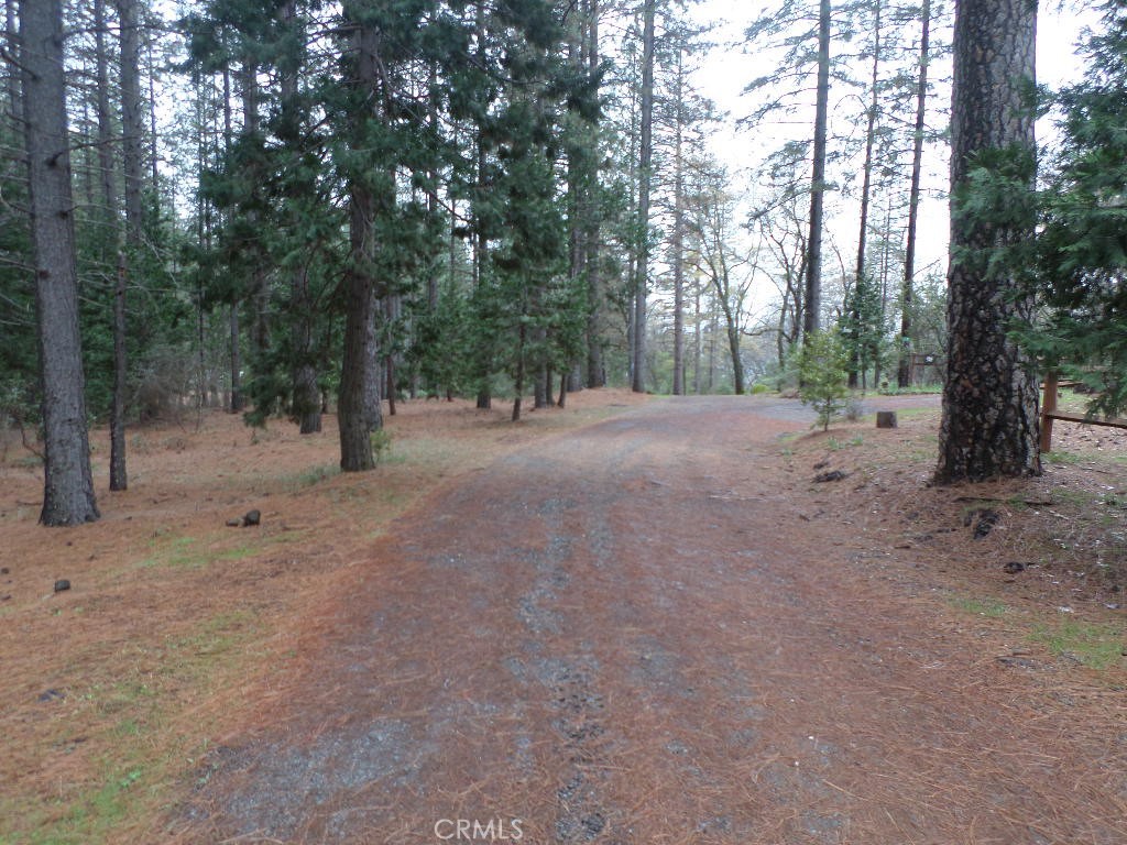 MLS #SN24060930 image #20