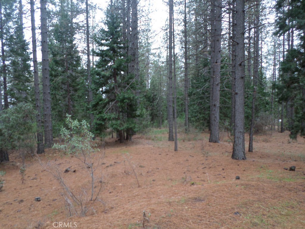 MLS #SN24060930 image #21