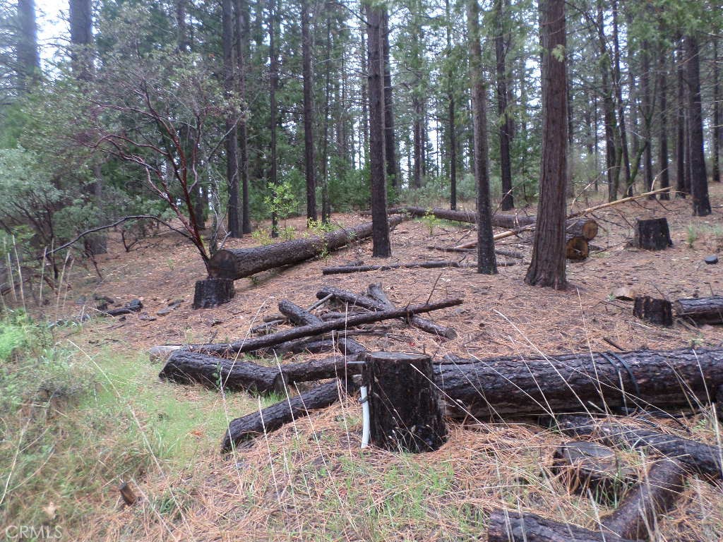 MLS #SN24060930 image #5