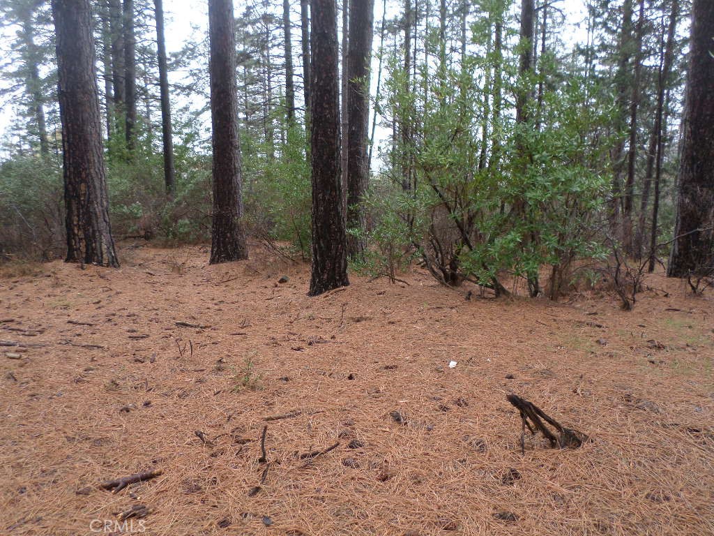 MLS #SN24060930 image #6