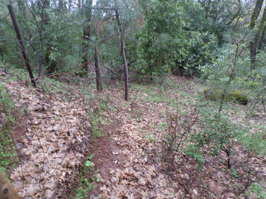 MLS #SN24060930 image #9