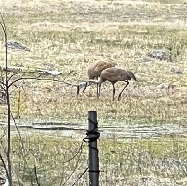 MLS #SN24069800 image #15