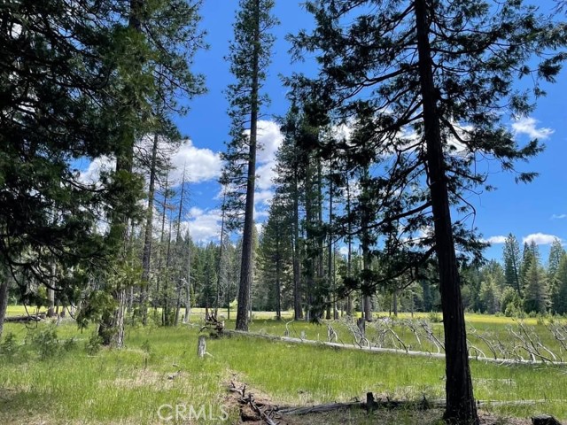 MLS #SN24069800 image #16