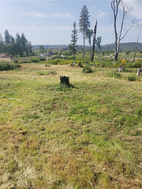 MLS #SN24086079 image #1