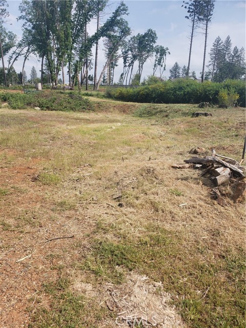 MLS #SN24086079 image #3