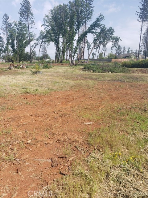 MLS #SN24086079 image #5