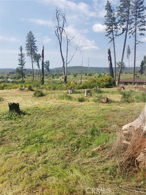 MLS #SN24086079 image #8