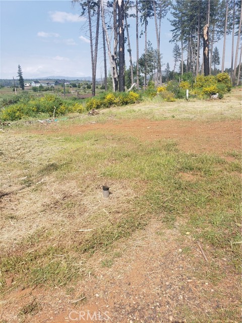 MLS #SN24086079 image #9