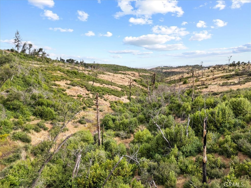 MLS #SN24109223 image #5