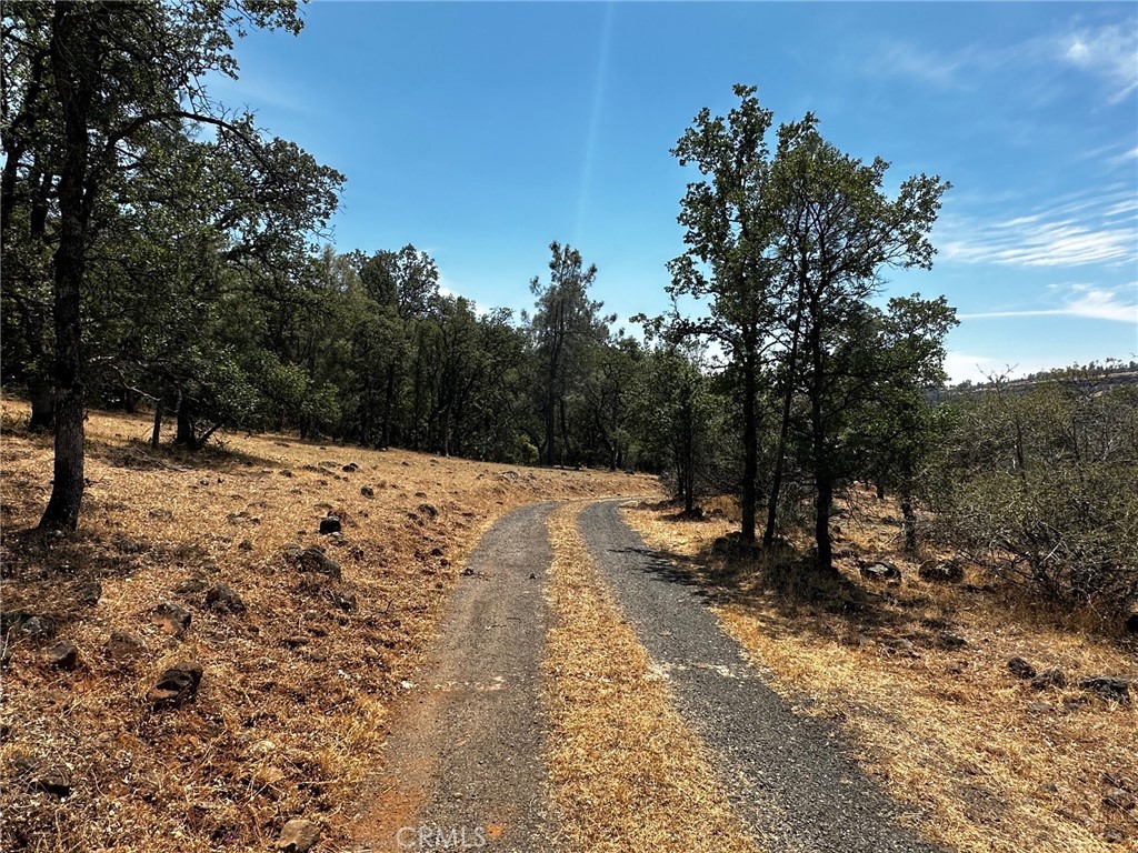 MLS #SN24123908 image #12