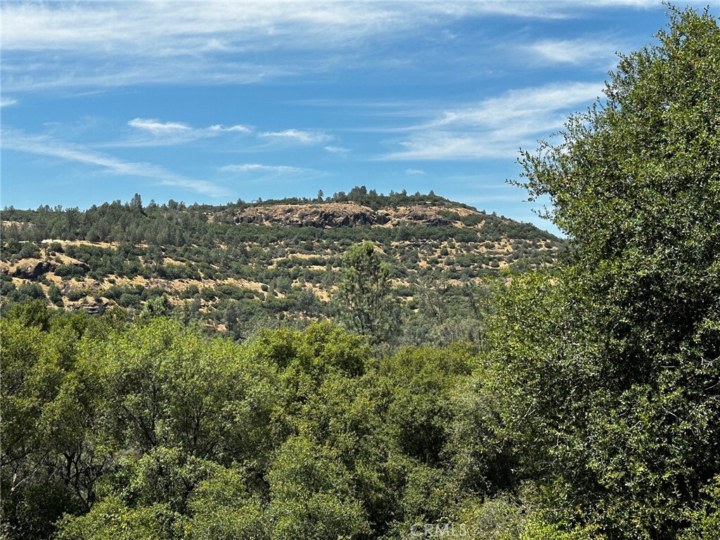 MLS #SN24123908 image #13