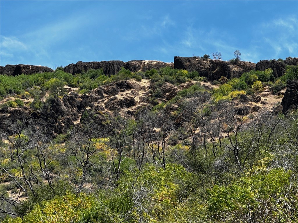 MLS #SN24123908 image #14