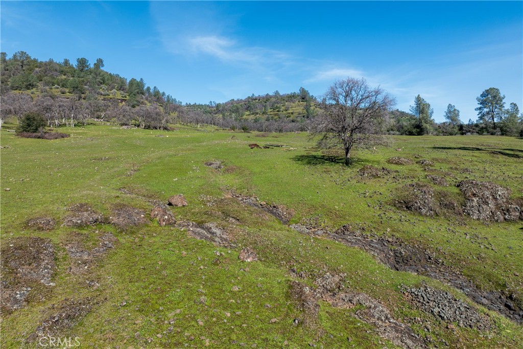 MLS #SN24123908 image #2