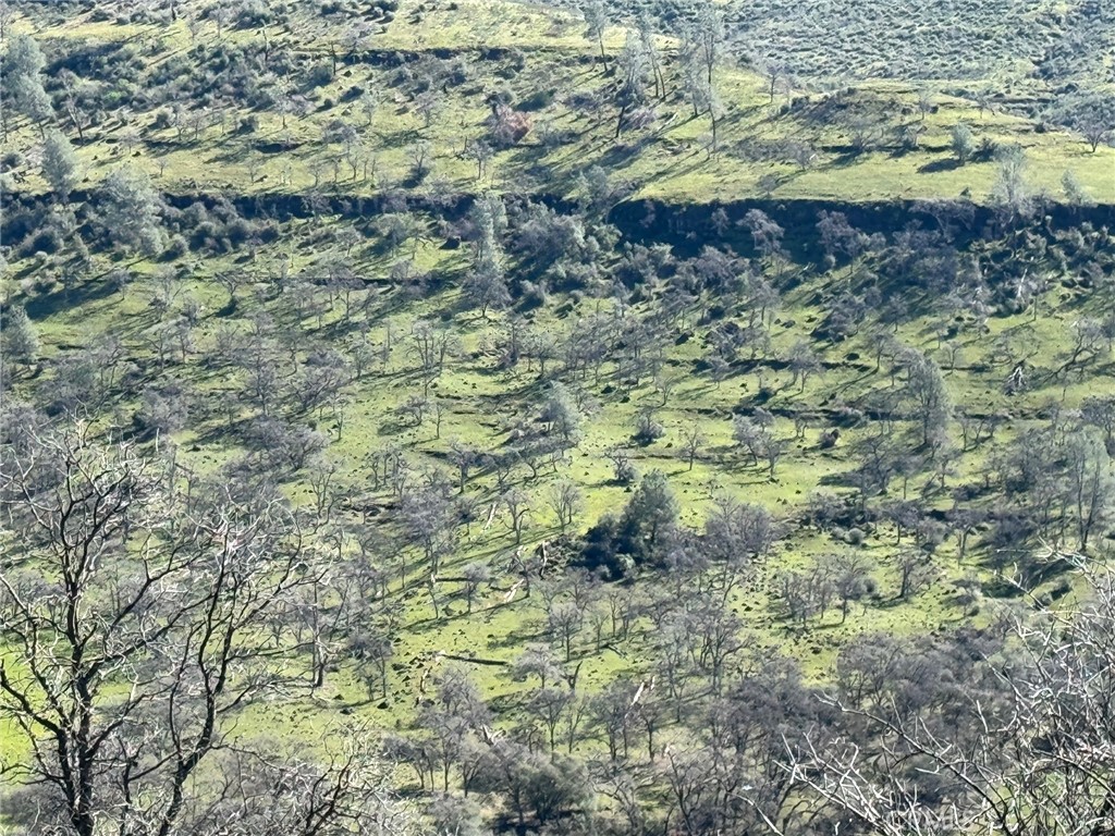 MLS #SN24123908 image #6