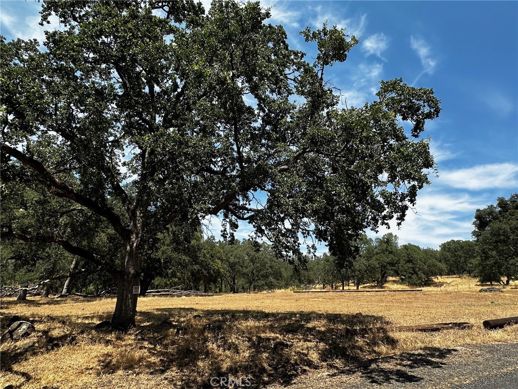 MLS #SN24123908 image #9