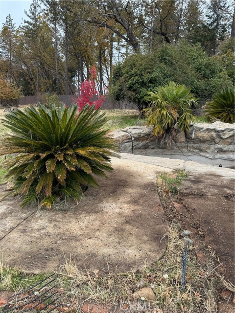 MLS #SN24238152 image #24