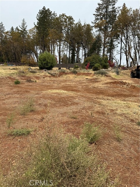 MLS #SN24238152 image #30