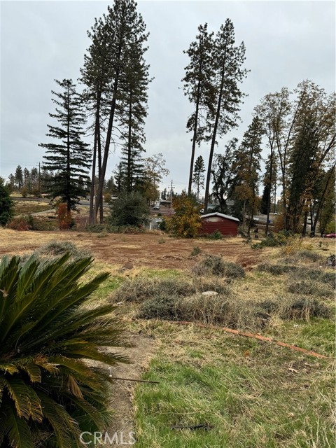 MLS #SN24238152 image #32