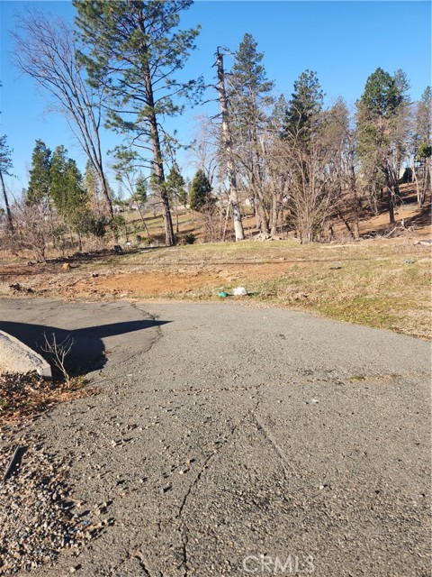 MLS #SN25008390 image #3