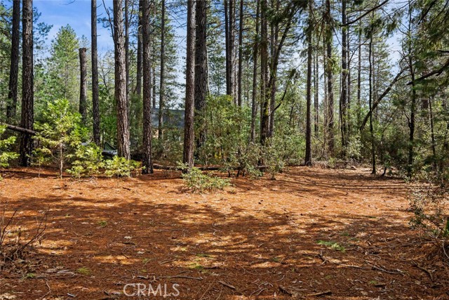 MLS #SN25060367 image #5