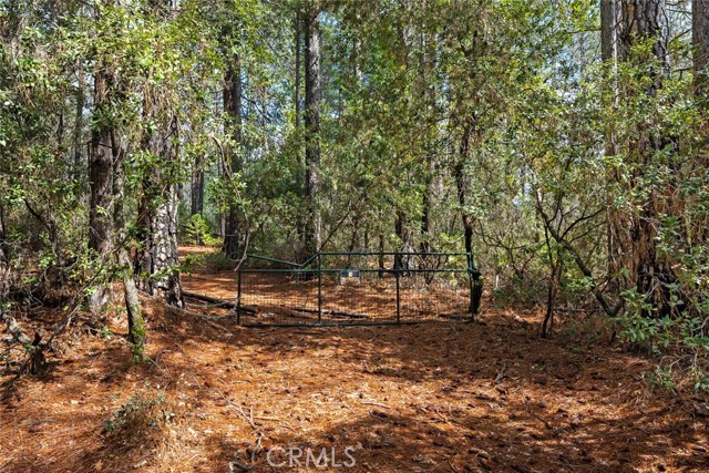 MLS #SN25060367 image #6