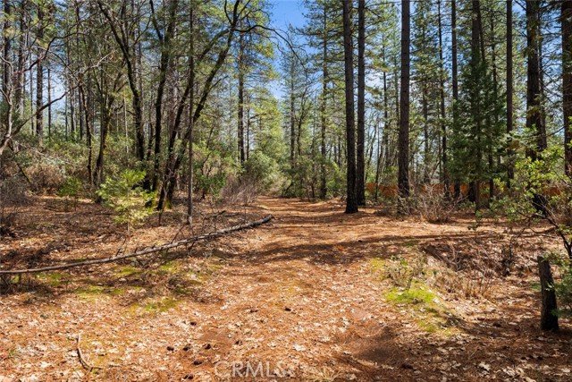 MLS #SN25060367 image #7