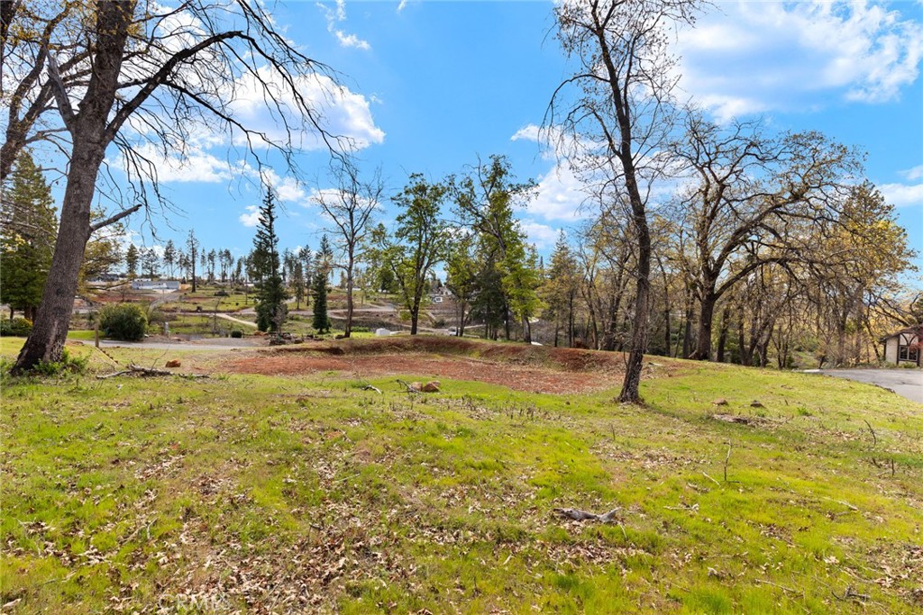 MLS #SN25062351 image #10