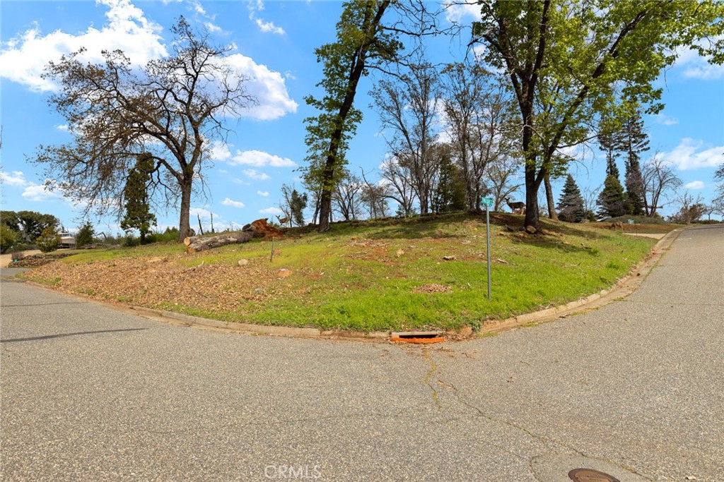 MLS #SN25062351 image #6