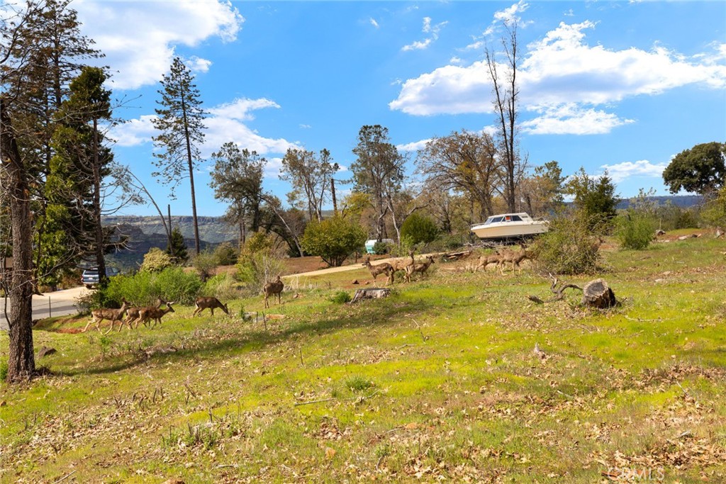 MLS #SN25062351 image #9