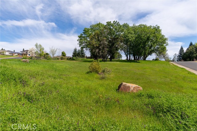 MLS #SN25080204 image #1