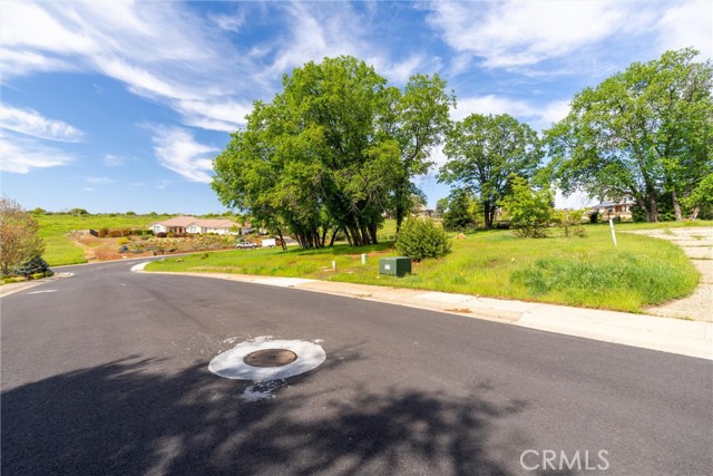 MLS #SN25080204 image #4