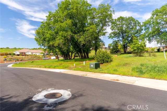 MLS #SN25080204 image #5