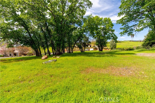 MLS #SN25080204 image #7