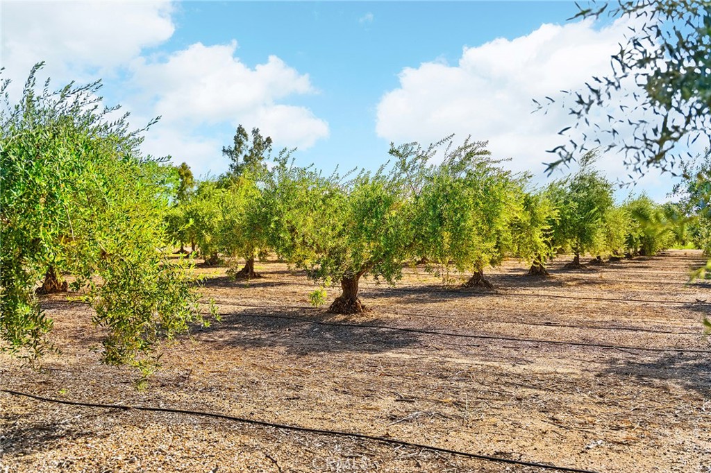 MLS #SN25083844 image #53